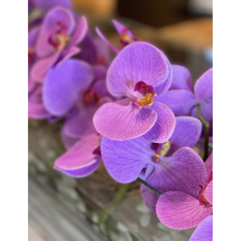Orchid Floral Arrangement in Planter, Light Purple