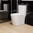 White Small Compact One-Piece Toilet Dual Flush, 23" Short Depth
