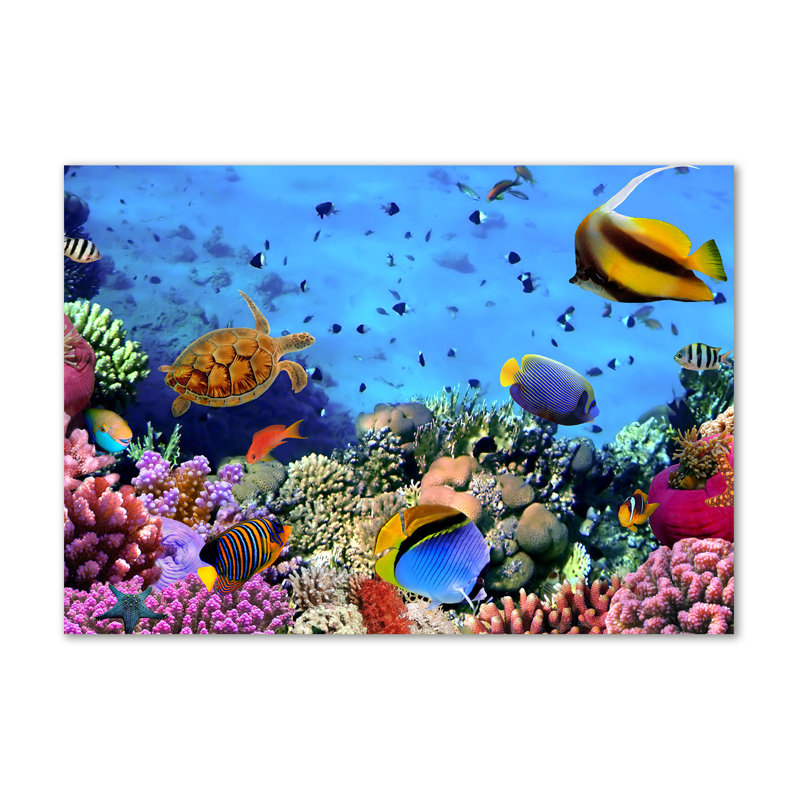 Coral reef 1 Piece Wrapped Canvas Wall Art