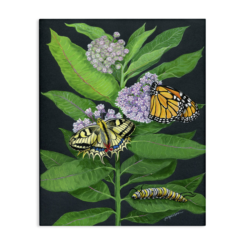 Art mural rétro sur toile d'asclépiade et d'insectes par Ann Jasperson, H 48 po x l 36 po