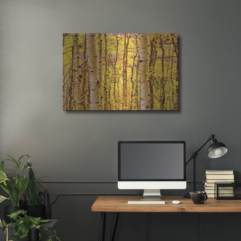 «Aspen Autumn» par Mark A Paulda, H 24 po x l 36 po
