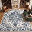 Tapis d'intérieur antidérapant lavable à la machine-126393576-126393566