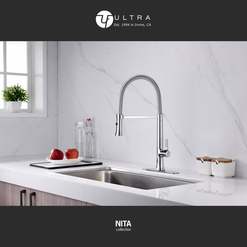 Nita Collection High-Arc Single Handle Kitchen/Bar Faucet with 2-Function Pull-Out Spring Spout Sprayer - Chrome Polished