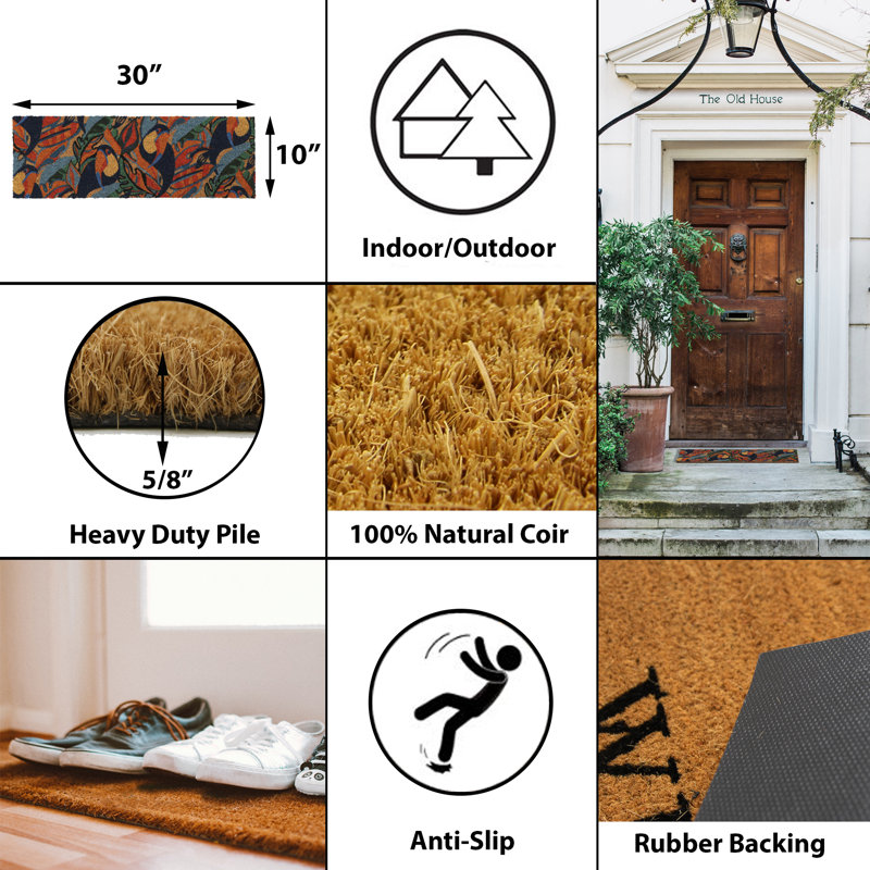 Toucans 30x10 Long Sheltered Front Door Mat Coco Multicolor