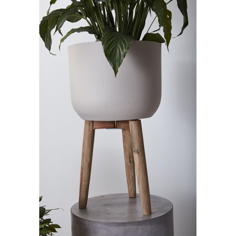 Luminara Plant Stand