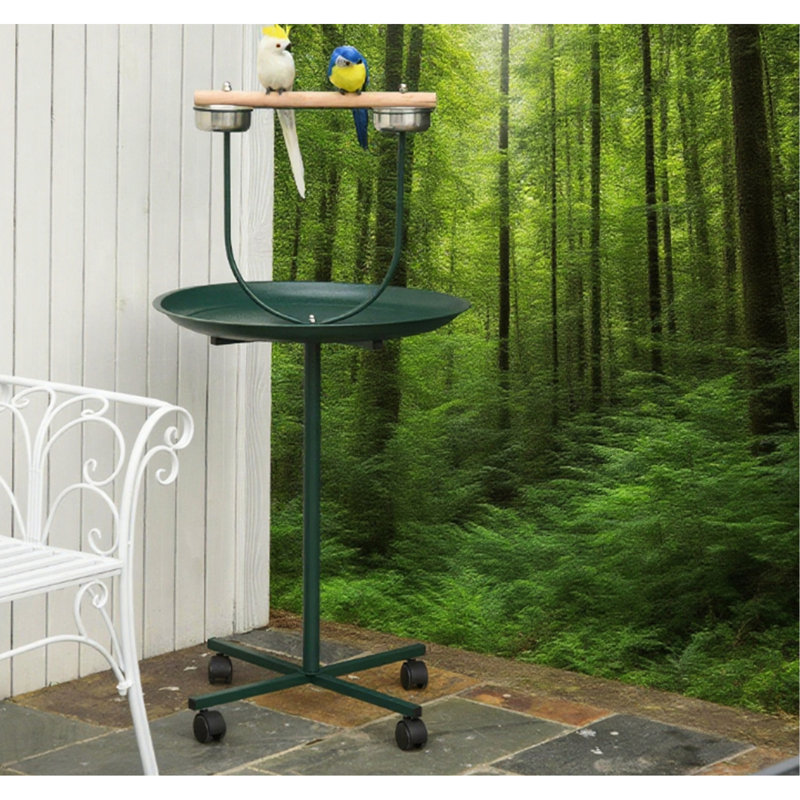 Bird Training Activity Playground With
