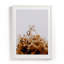 Greetings Print by Annie Spratt