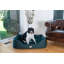 Panier de support pour chien-3847952-11097546