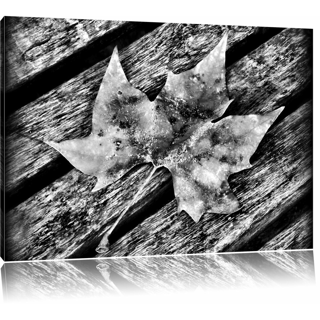 Leinwandbild Kleines Herbstblatt auf Holz in Monochrom