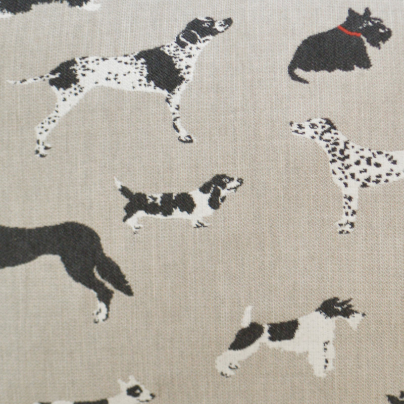 Fetch Square Indoor/Outdoor Pillow Cover & Insert