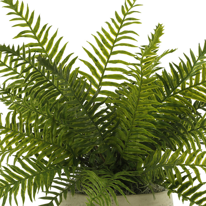 Outdoor UV-Rated Fern in Fiberstone Pot, Gray
