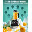 Blender professionnel 60 W à haute puissance avec minuterie WantJoin 1800 W