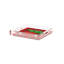 Acrylic Decorative Tray-1822918242