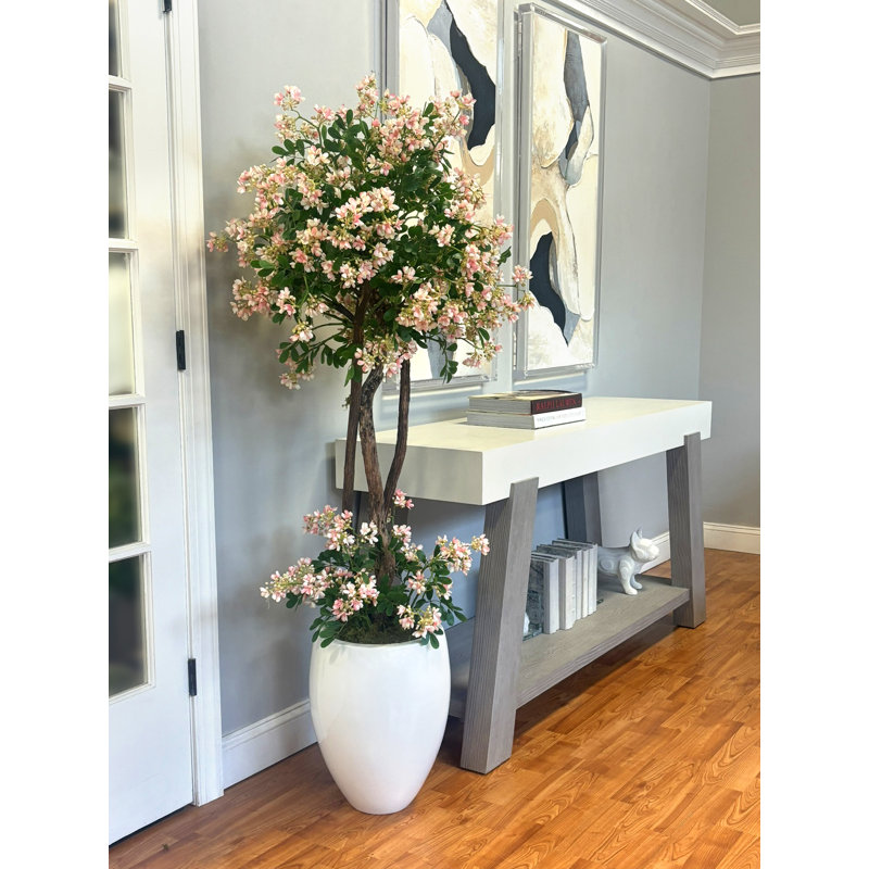 Stephanotis Tree in Fiberstone Pot