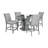 Ashvini 25" Counter Stool