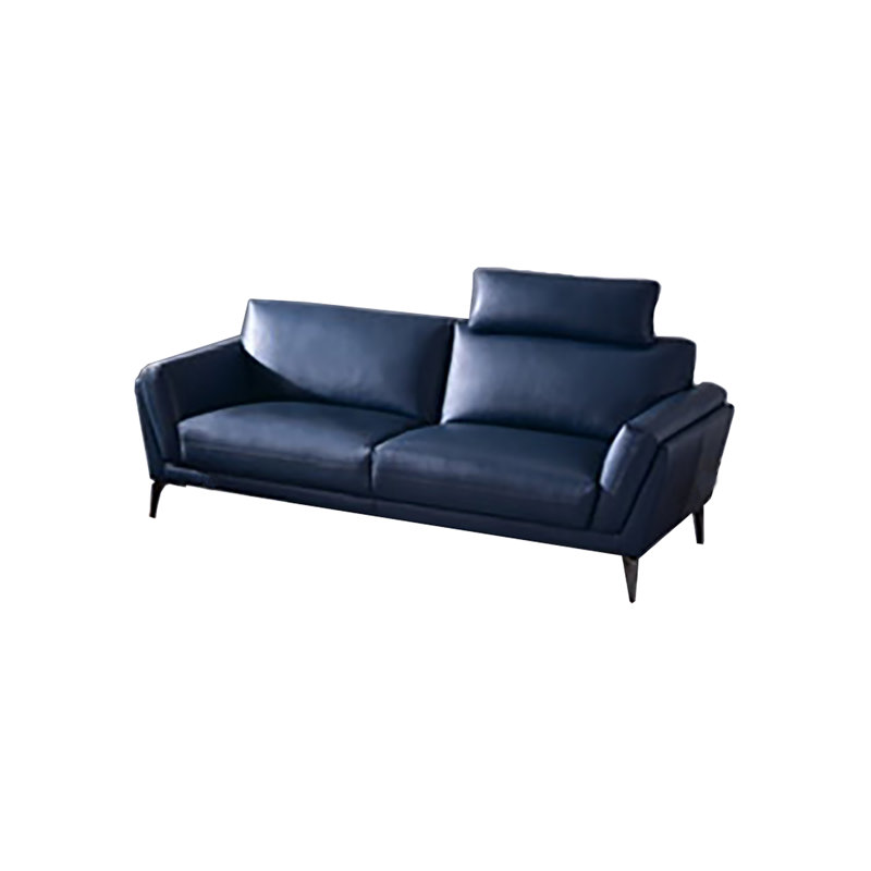Tascherau Upholstered 74'' Sofa, Blue Genuine Leather