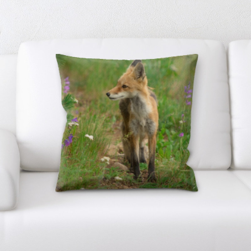 Coussin de fox