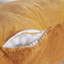 Backrest Cushion-1411607008