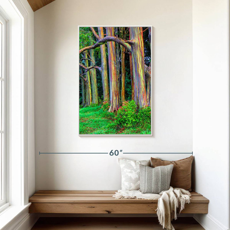 Colorful Eucalyptus Trees, Floating Frame White, 29" x 43"