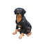 Statue jardinière Rottweiler