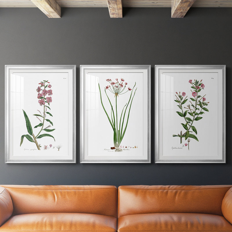 Rose Botanical I - reproduction sur mesure encadrée de qualité supérieure - 3 pièces, Argent argent, H 21 po x l 30 po