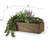Anre Succulent Arrangement