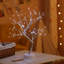 Night Light