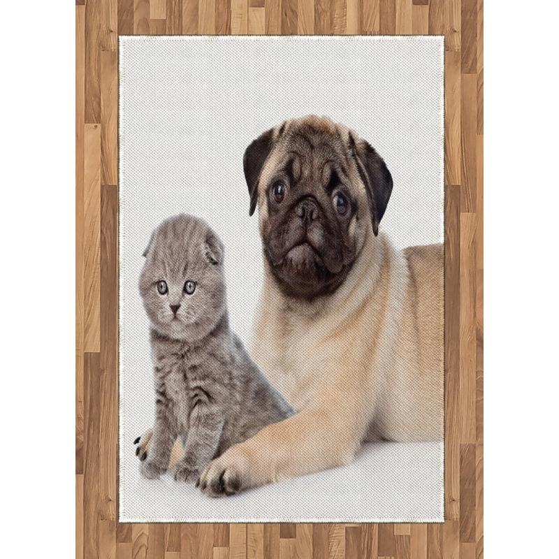 Tapis décoratif à longs fils en fibre de polyester à haute densité Pug, Rectangle— 4 pi x 5 pi 8 po