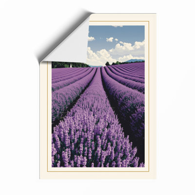 Lavender Fields Botanical - Framed Print
