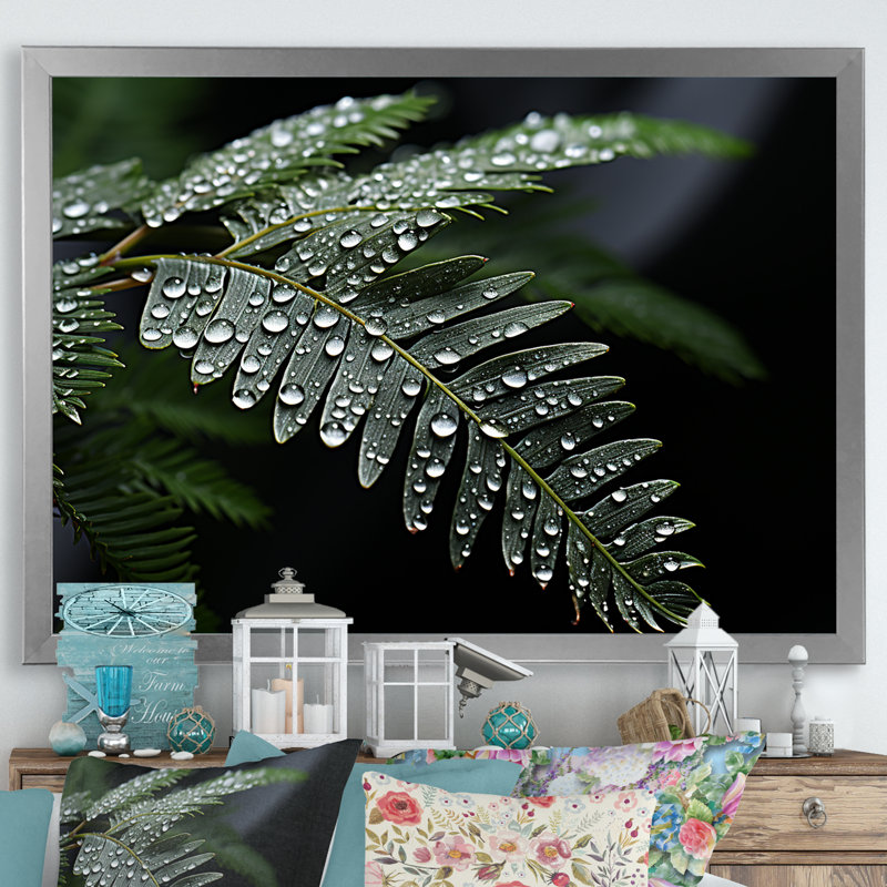 «Ferns Charm in Winter», reproduction sur toile, H 30 po x l 40 po x P 1,5 po, Cadre simple argenté