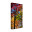 « color blend », reproduction de photo sur toile tendue-31973544