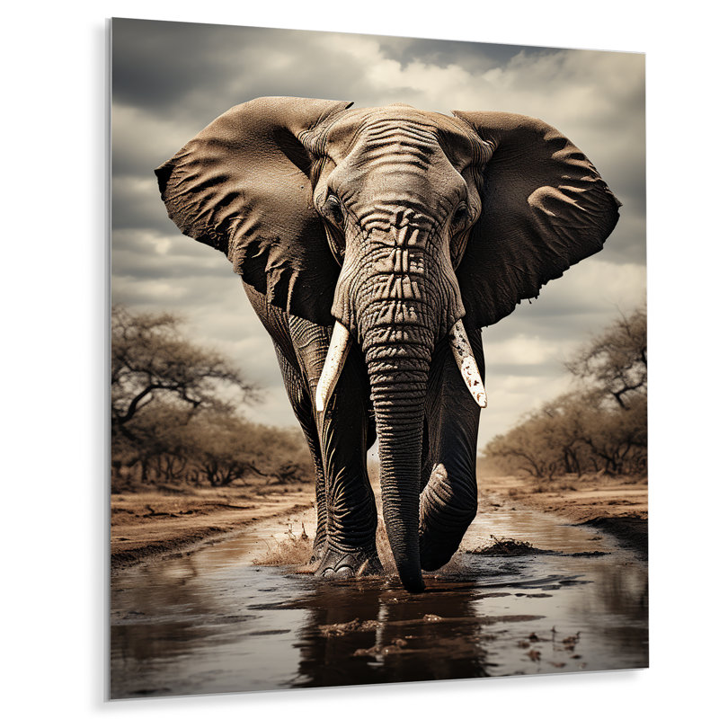 Portrait d'éléphant monochrome I - animaux, art mural en métal, H 20 po x l 12 po x P 1 po