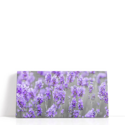 Lavender Farm - reproduction d'art sur toile