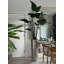 Faux Bird Of Paradise Tree in Metal Planter-1909625988-1909625989