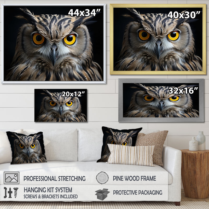Chouette, reproduction d'art sur toile, portrait d'un oiseau blanc noir, Cadre flottant doré, H 30 po x l 40 po x P 1,5 po