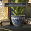 Ladies Chinese Porcelain Pot Planter-810718874