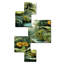 «Rainforest Jungle Plants Landscape 2 - Jungle Square», ensemble d'art mural de 5