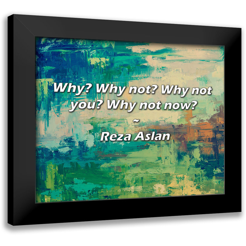 Citation de Reza Aslan: Pourquoi? Pourquoi pas? Pourquoi pas vous? Pourquoi pas maintenant?