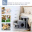 Bendale 66cm H Cat Tree