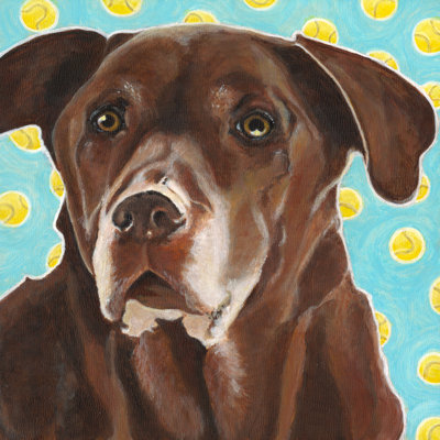 Dlynns Dogs - Get Your Ball by Dlynn Roll - Wrapped Canvas Painting