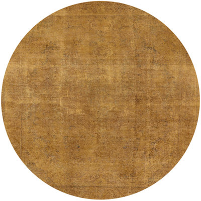 Almarene Moroccan Indoor Rug