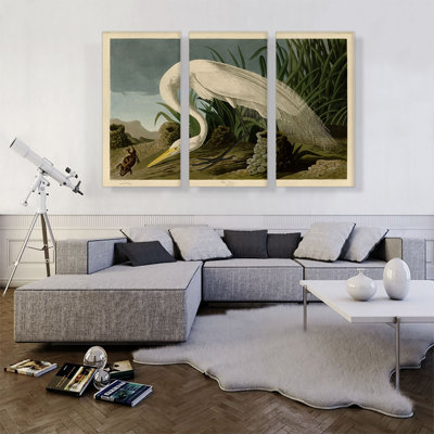 " White Heron " by James Audubon 3 - Pieces Painting Print