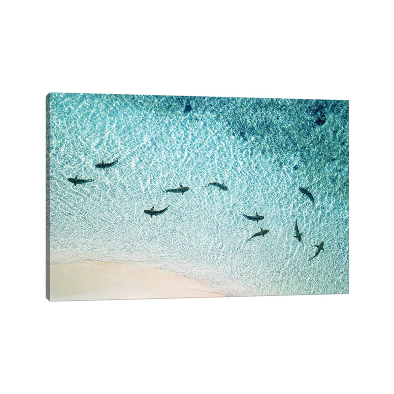 " Sharks Patrolling Beach Shoreline " by James Vodicka, 8" H x 12" W x 0.75" D