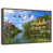 Floating Frame Walnut