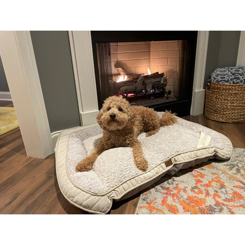 Lit pour animal de compagnie Celebrity Pet Luxury, Kaki, H 7 po x l 31 po x P 22 po