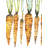 Watercolor Carrots Print On Canvas