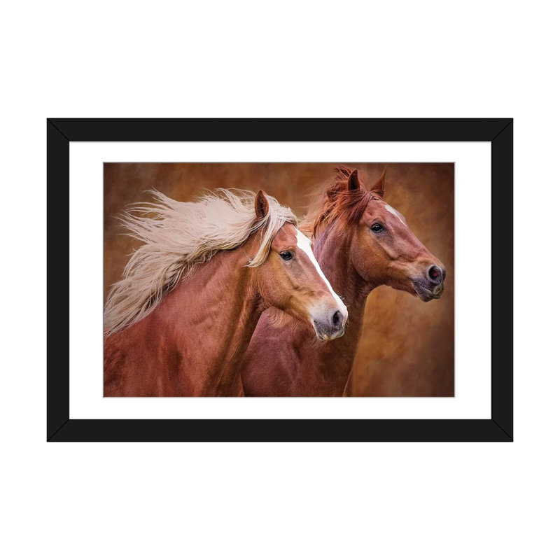 «Purebred I», impression sur toile, H 16 po x l 24 po x P 1 po, Papier d'art encadré noir, Blanc