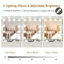 Vanity Mirror 3 Lighting Colour Adjustable