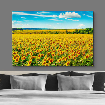 Tournesol «Vibrant Sunflower Countryside Farm Wilderness» sur