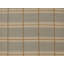 Plaid Area Rug in Brown/Gray
